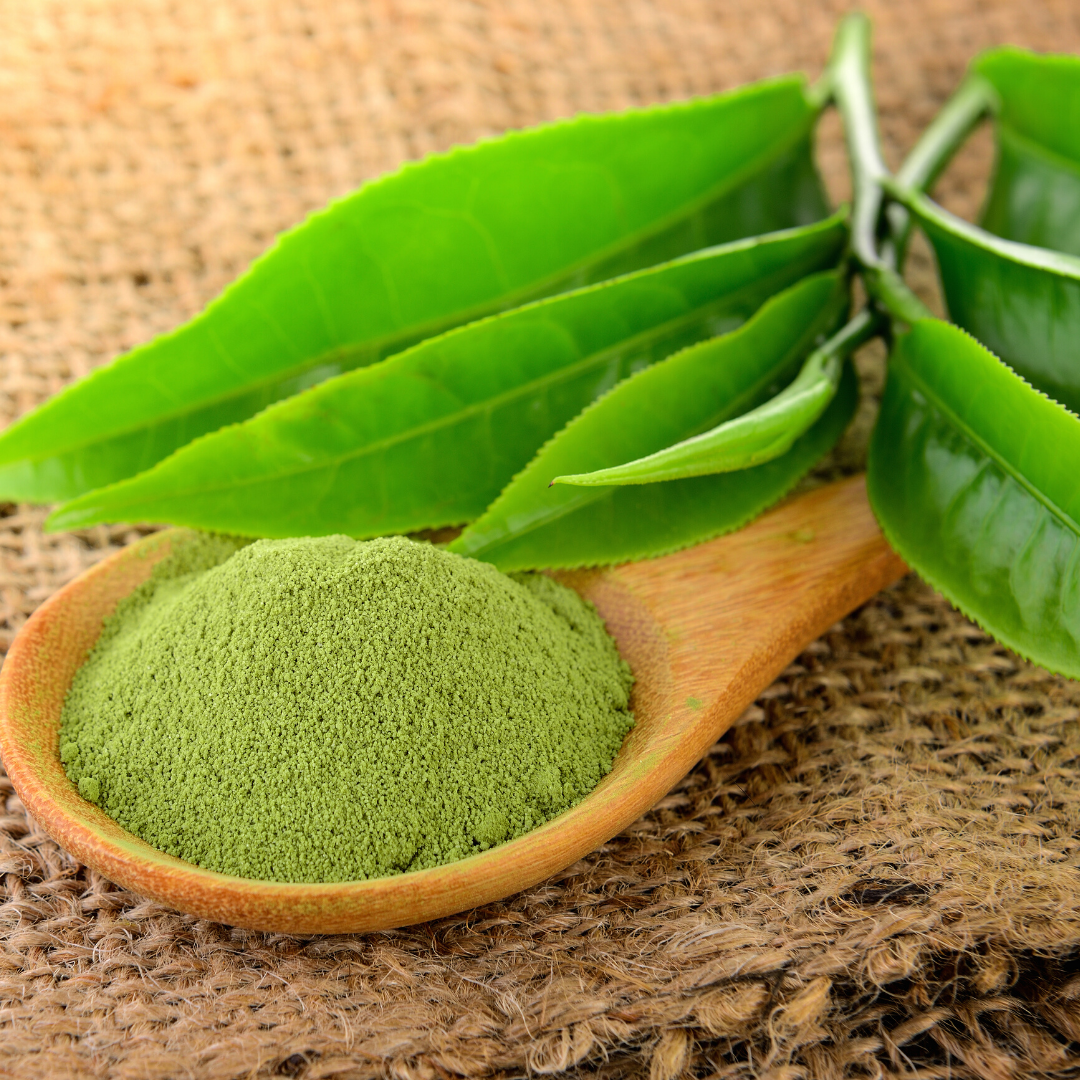 Tega Japanese Matcha 40g | Organic